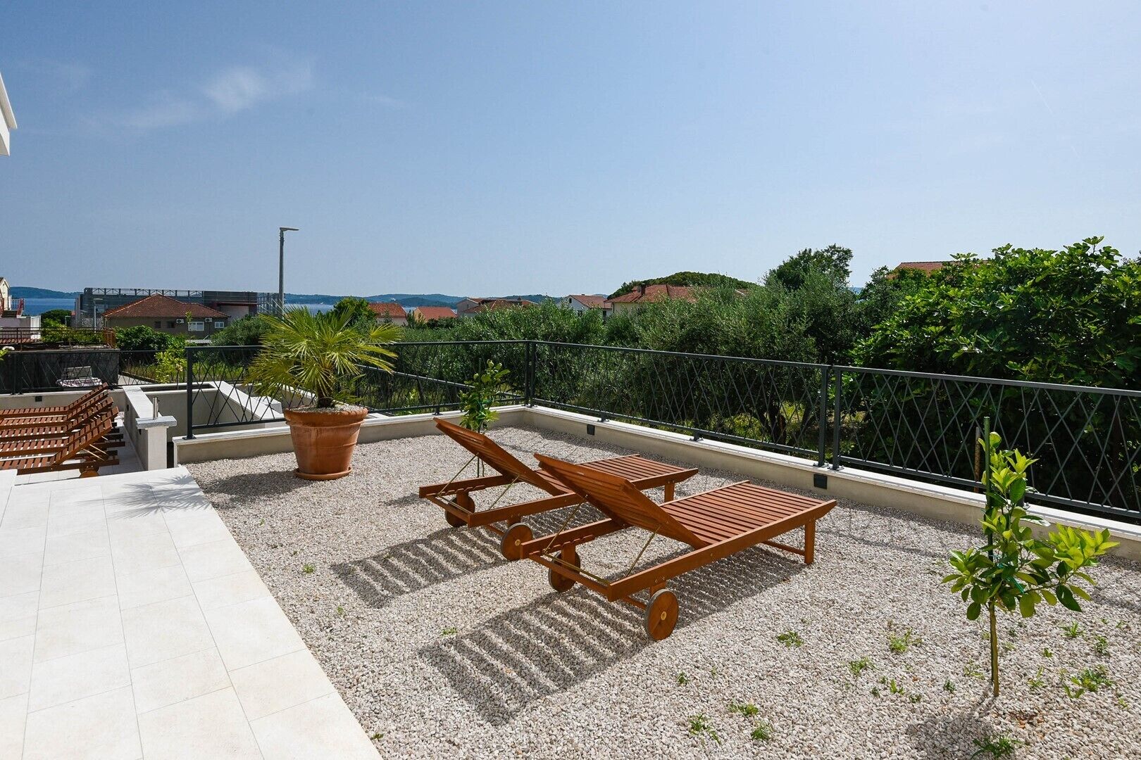 A rooftop terrace with two wooden lounge chairs, a large potted plant, and a small tree.
