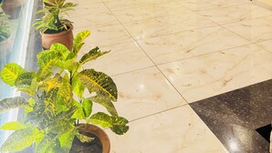 A modern outdoor area with a glass railing, potted plants, a stone wall, a wooden door, and a tiled floor. - Spacious 5-Bedroom Homestay with Attached Washrooms, near Amritsar Airport. (Amritsar)