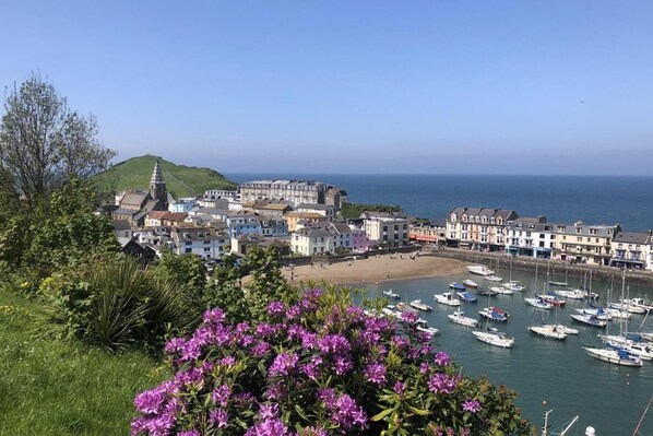 A coastal town with a marina, buildings, and a hill in the background.
