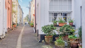 A narrow street with white buildings, potted plants, and a clear sky.