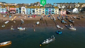 A coastal town with colorful buildings and numerous boats on the beach.