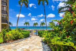 A pathway leading to a pool area with palm trees and a view of the ocean.
