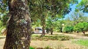 A tree-lined area with a covered RV and a lamp post.