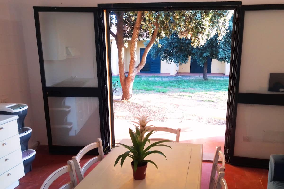 A dining area with a table, chairs, and a potted plant.