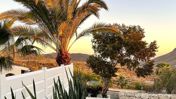 Un espace piscine offrant une vue dégagée sur le paysage environnant, notamment sur un palmier et un mur de pierre.
