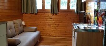 อพาร์ตเมนต์ ใกล้ Romerbad Thermal Spa