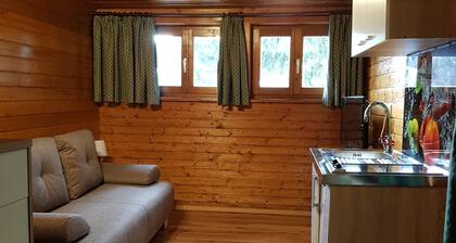 Apartment Near Romerbad Thermal Spa