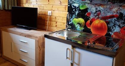 Apartment Near Romerbad Thermal Spa