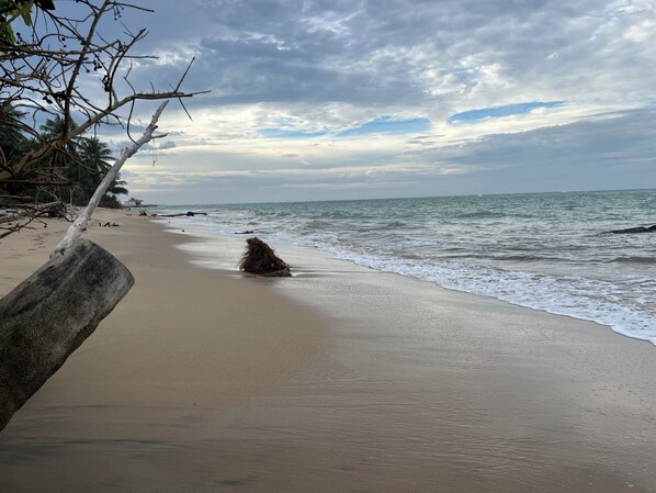 Plage à proximité, chaises longues, serviettes de plage