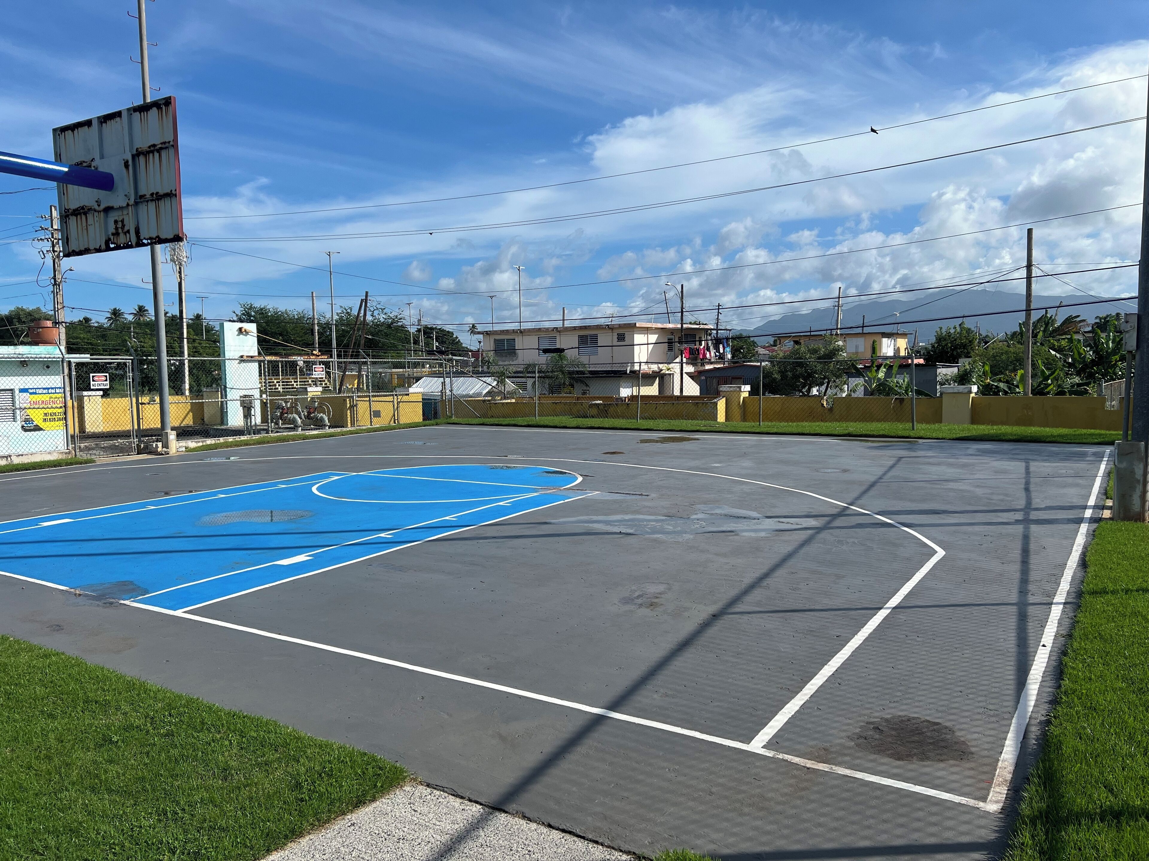 Ein Basketballplatz mit blauer Spielfläche, umgeben von einem Zaun und Grünpflanzen.