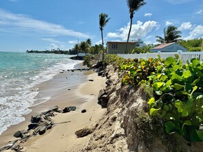 Una playa con orilla arenosa, palmeras y una cerca blanca.