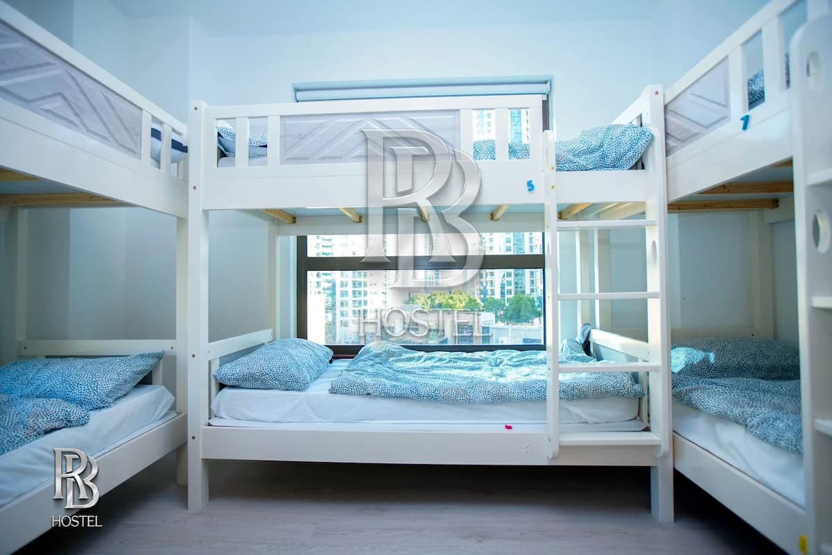 Dormitorio compartido Deluxe, vistas al puerto deportivo | Wifi gratis