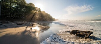 Casa Swell Boutique Hotel 