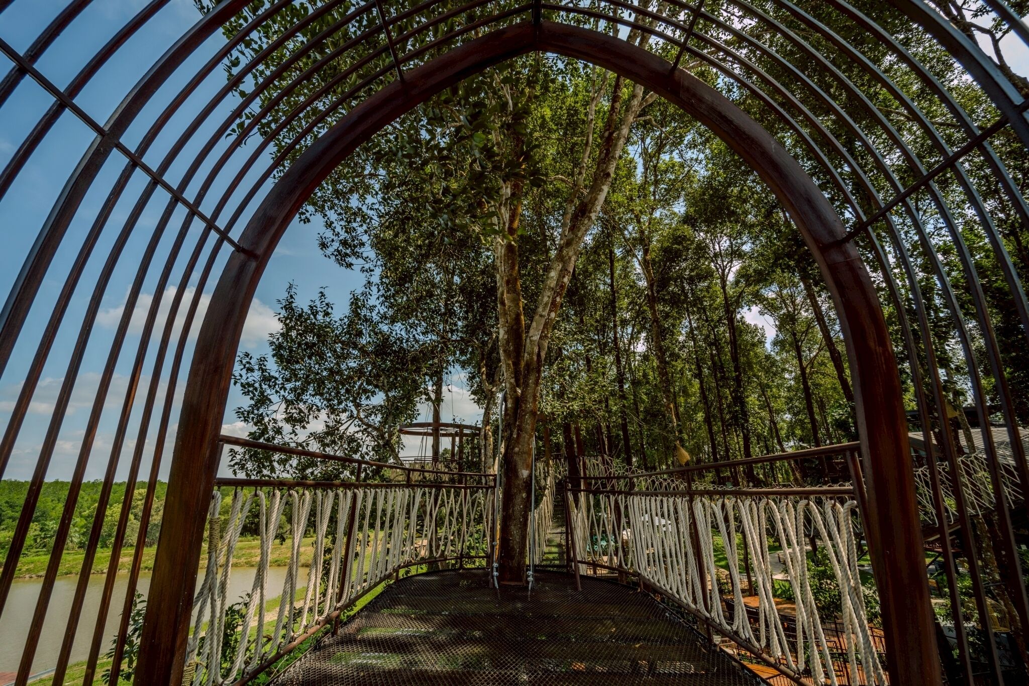 Un puente de madera cubierto con barandillas de metal, rodeado de árboles y un río.