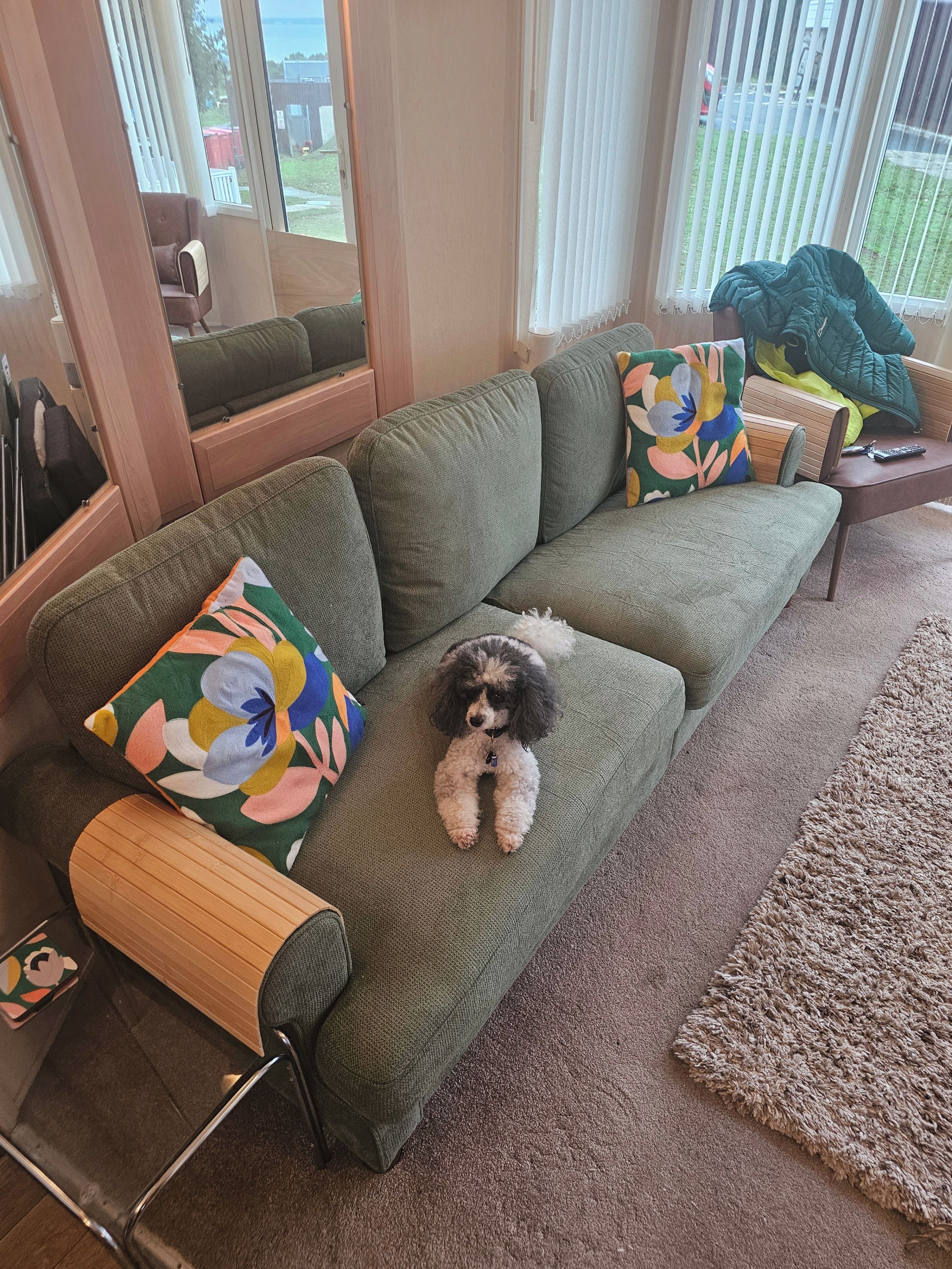 A green sofa with a dog, colorful pillows, and a remote control on a side table.
