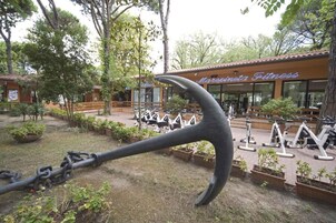 Trailer, 2 quartos, terraço | Área da propriedade