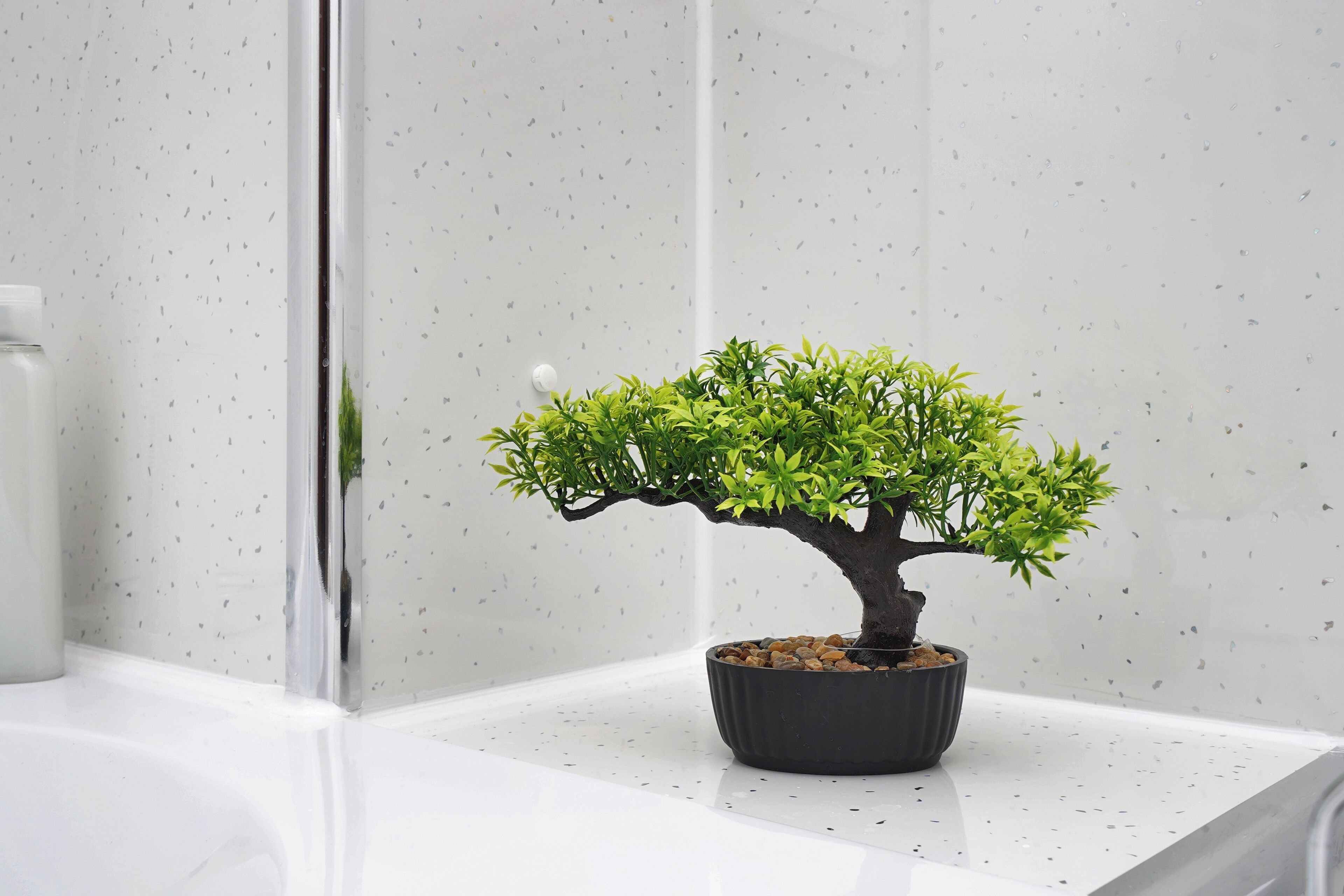Ein im Topf stehender Bonsai-Baum auf einer weißen Arbeitsplatte mit punktierten Rückwand.