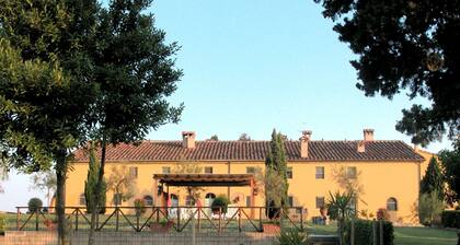 Nice Apartment in Guasticce With Pool