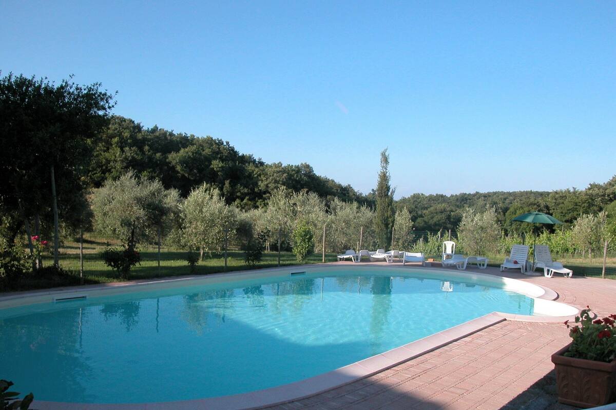 Una piscina rectangular con solárium de ladrillo, rodeada de árboles y un cielo despejado.