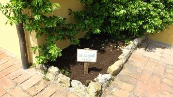 House | Interior detail