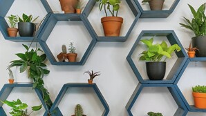 Een muur met zeshoekige planken waarop verschillende planten in potten staan.