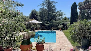 A swimming pool surrounded by potted plants and a clear blue sky.