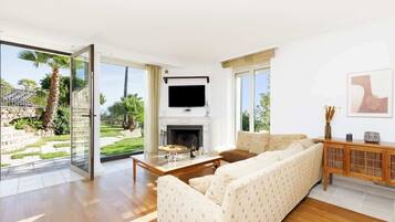 Télévision, cheminée, chaßne hi-fi