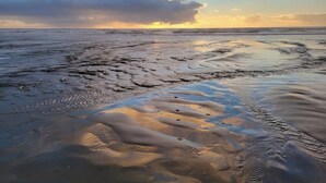 A beach with wet sand and footprints.