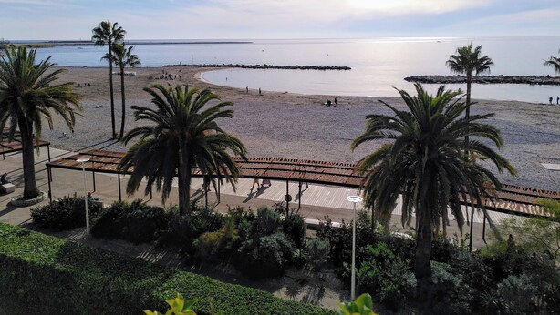 Ein Strand mit Palmen, einer Holzpromenade und Blick aufs Meer.