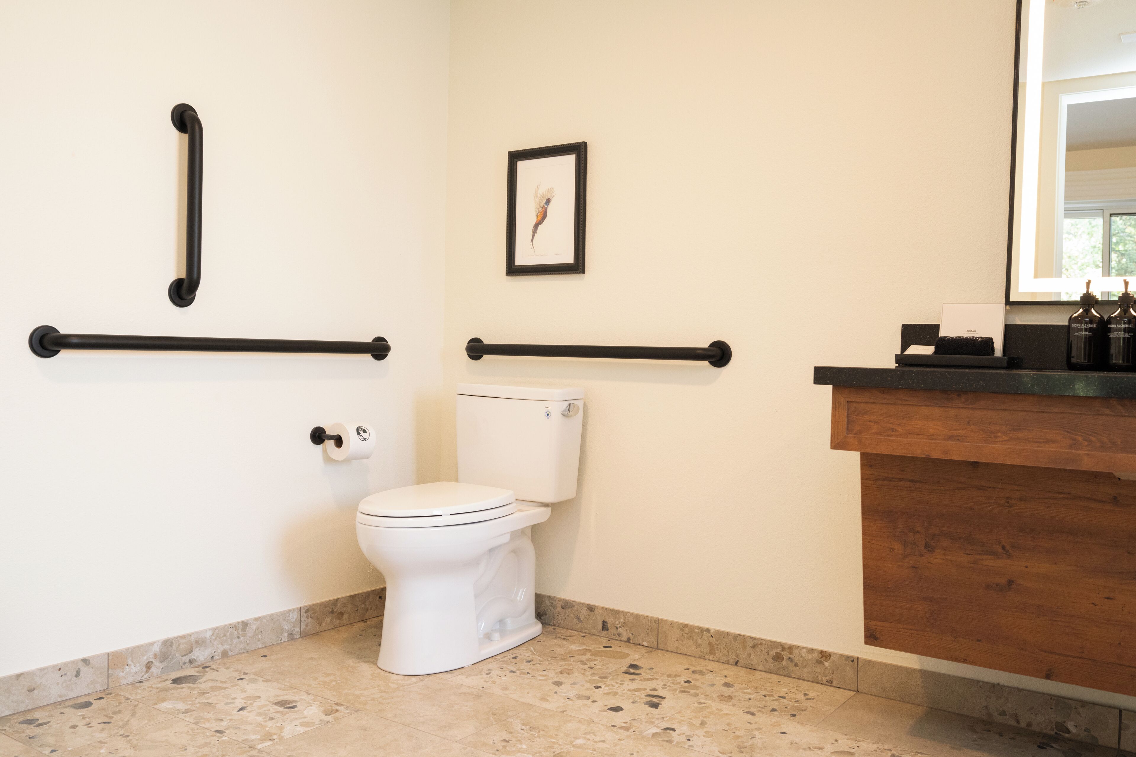 A bathroom with a toilet, a framed picture on the wall, and a wooden counter with bottles.