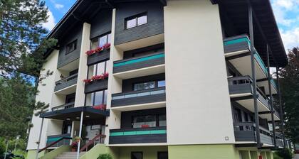 Apartment in Bad Kleinkirchheim at Skislope