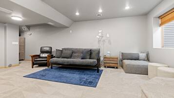 TV connectée, cheminée, livres