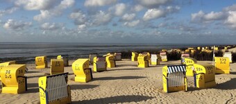 3 rooms, kitchenette, bathroom, terrace, large garden, non-smoking house