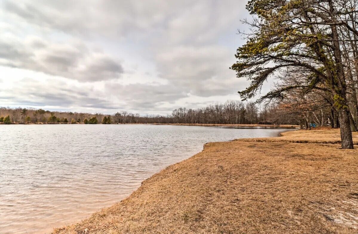 A lake with a grassy shore and trees.