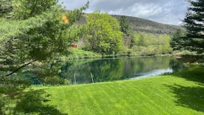 Une vue paisible sur le lac, avec une pelouse bien entretenue et des arbres.