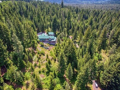 Trout Lake Treehouse - A large, splendid, and private mountain home!