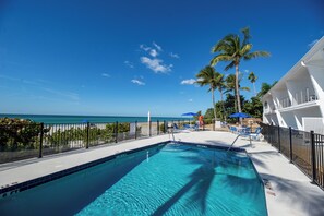 Pool - Charming 1-bedroom, Beachfront condo in fabulous Longboat Key steps to the beach (Longboat Key)