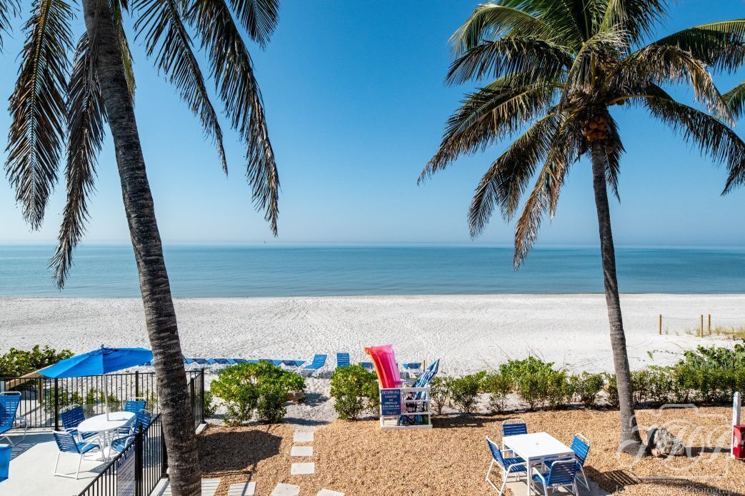 A beachside area with palm trees, lounge chairs, and a view of the ocean.