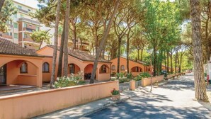A row of orange buildings with arched windows and a paved street lined with trees.
