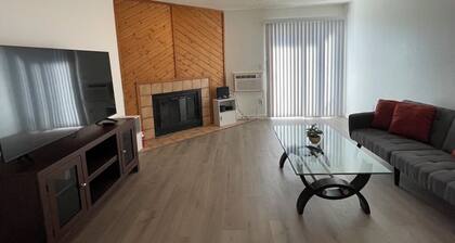 Newly remodeled condo for travel professionals and interns