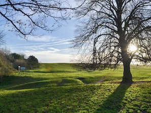Immagine non classificata, 3 di 12, pulsante