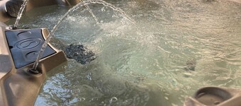 Vandalia Retreat, 3 bedroom home situated on 10 acres of wooded privacy!