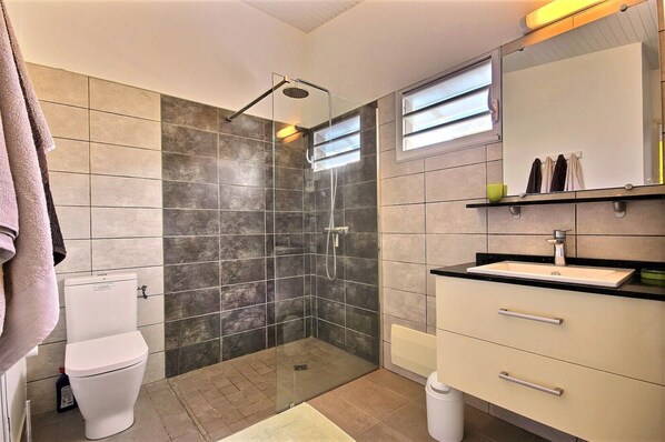 Hair dryer, towels