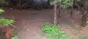 Rabbit's Den @B Berry Farms