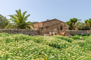 Villa | Exterior