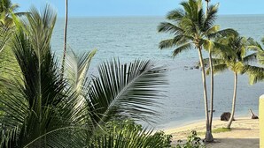 A beach with palm trees and a clear view of the ocean.