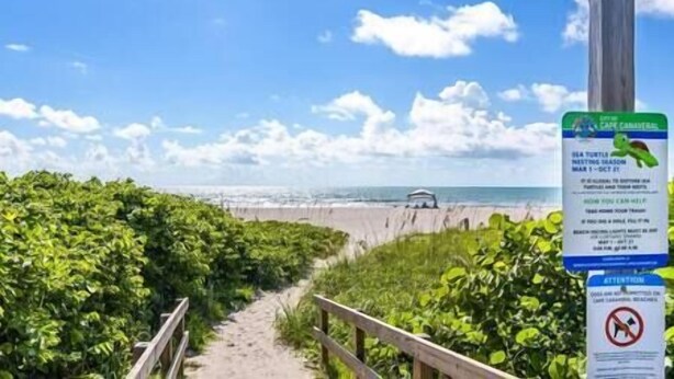 A beach path with a wooden railing, leading to the ocean. There is a sign on the right with information about sea turtle nesting season.