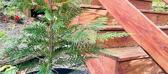 Cozy country cottage just minutes to Lake Chatuge and 15 Miles from Helen