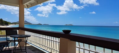 PalmVille - Charming 2-bedroom house with AC, WiFi