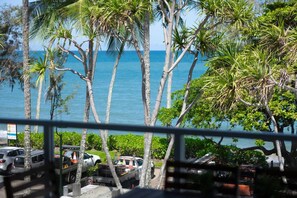 Property grounds - Sublime Palm Cove 2BR Beachfront Apt - Lagoon Pool (Palm Cove)